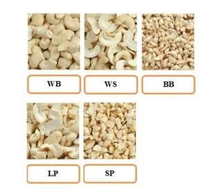500gr Hạt điều sống