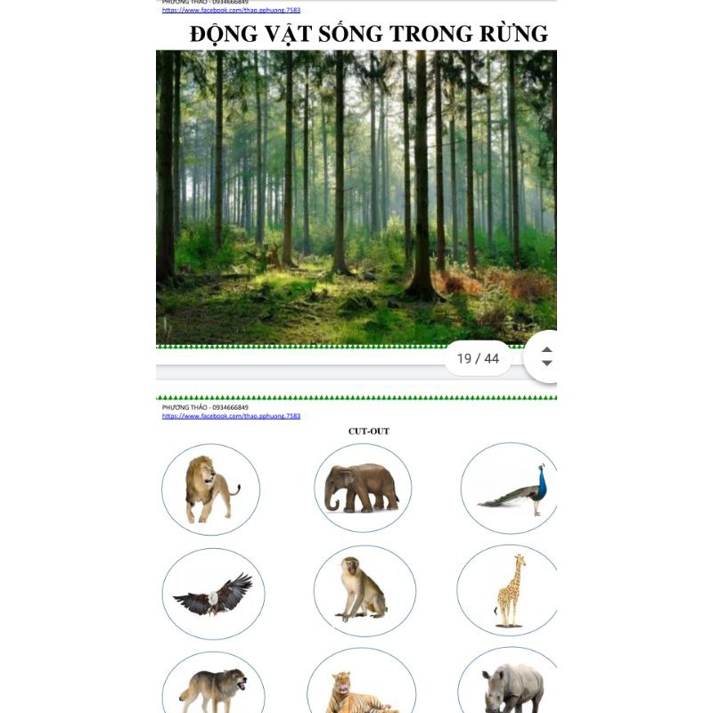 Bộ học thế giới quanh ta tiếng việt