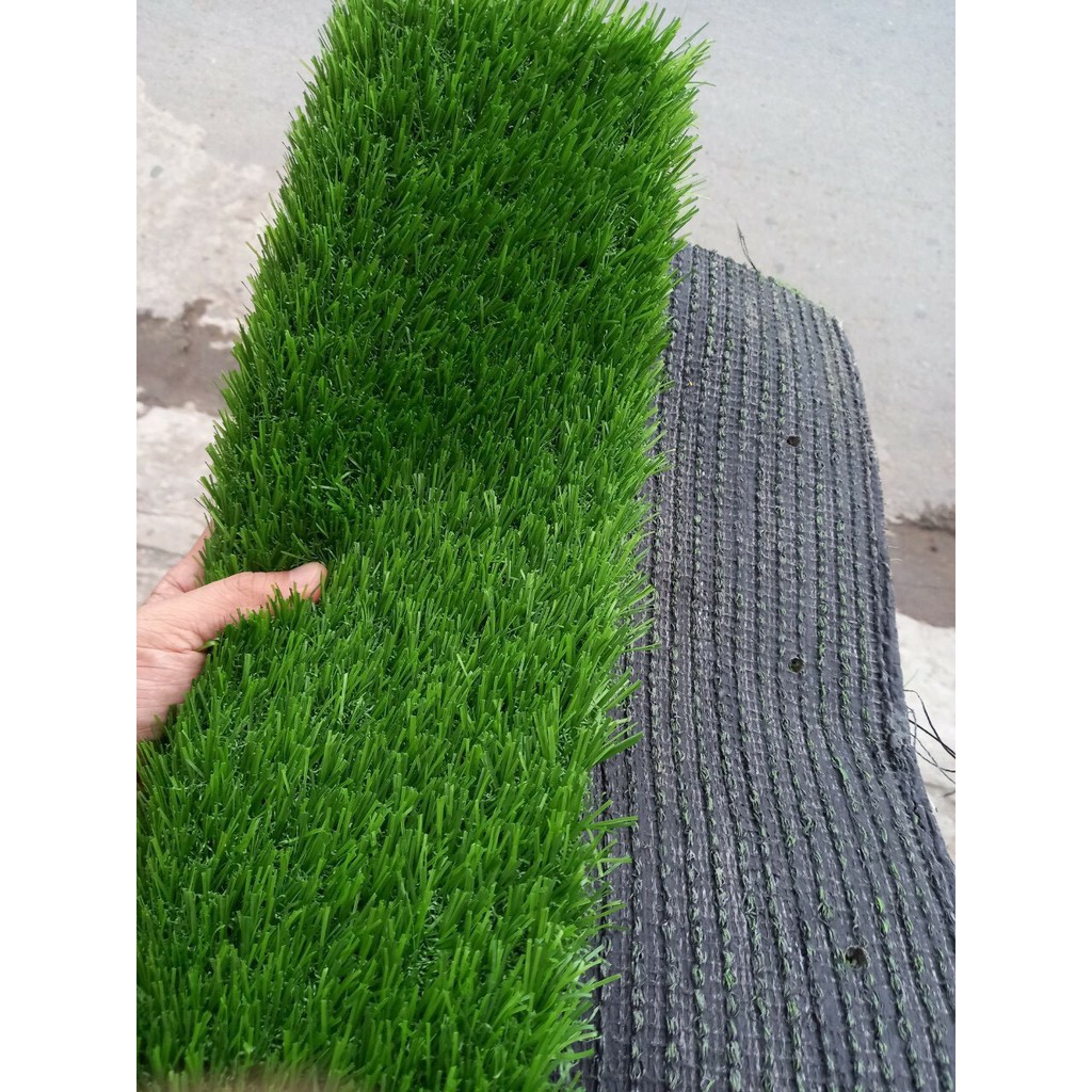 Thảm cỏ nhân taọ 1cm | BigBuy360 - bigbuy360.vn