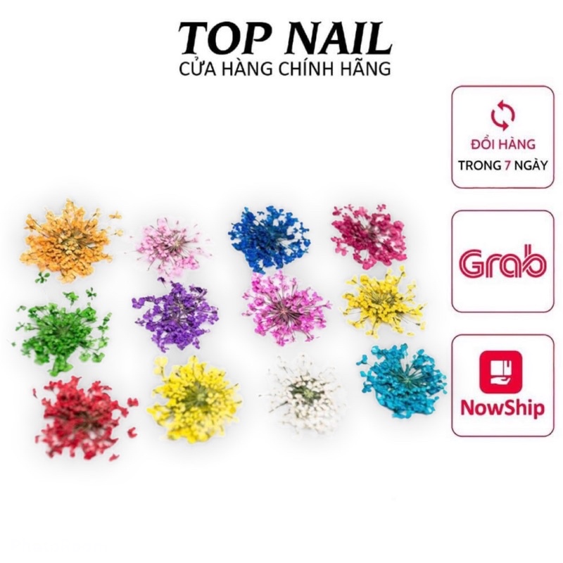 Set hoa khô nhí ẩn gel trang trí móng nail