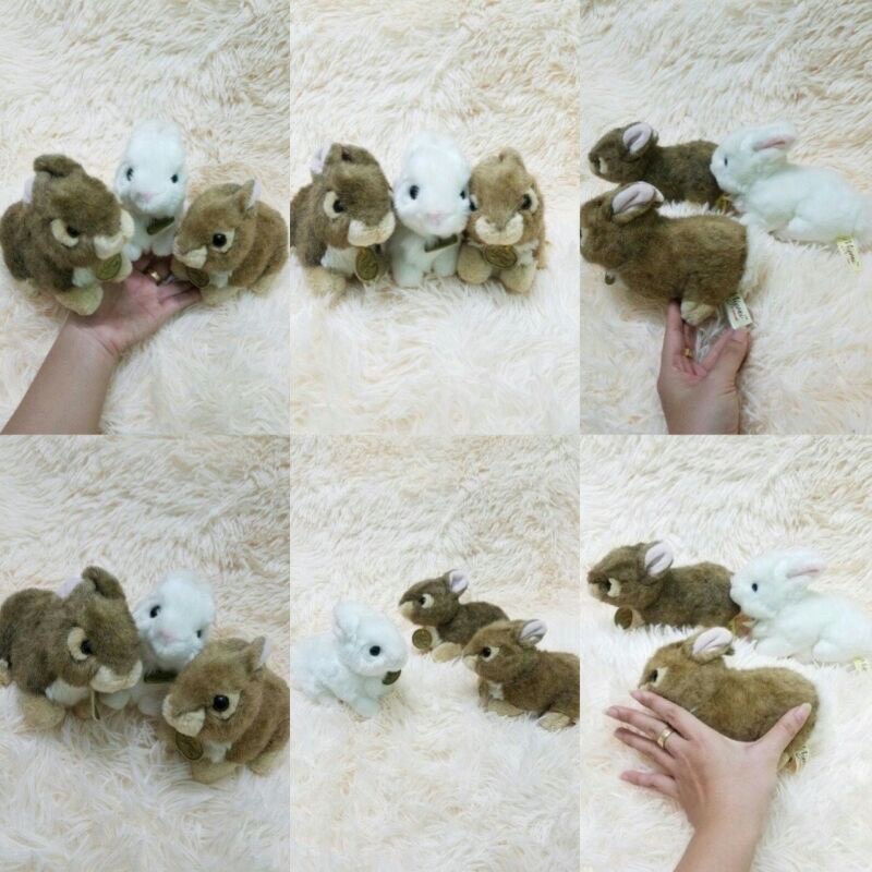 Gấu bông con thỏ trắng chính hãng giống như thật