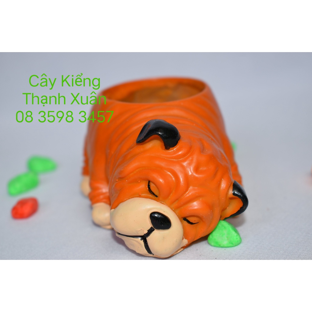 Chậu trồng cây sen đá xương rồng mini hình chú chó nằm ngủ màu cam, chậu nhựa composite  dễ thương nhiều mẫu.