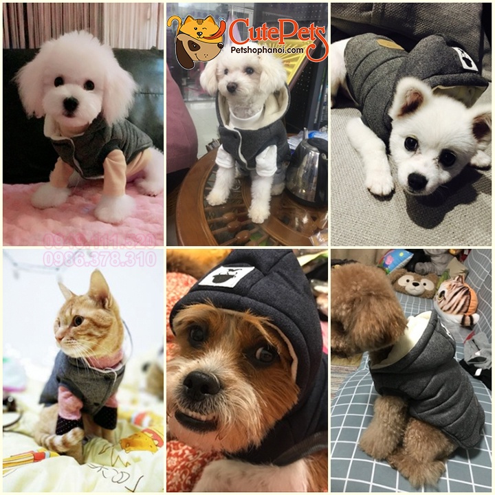 Áo mùa đông cho chó mèo Trademark BABY lót nỉ - Cutepets