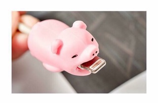 💥 THÚ NGẬM BẢO VỆ SẠC💥