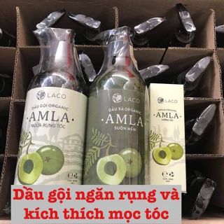 Dầu gội ngăn rụng tóc Amla