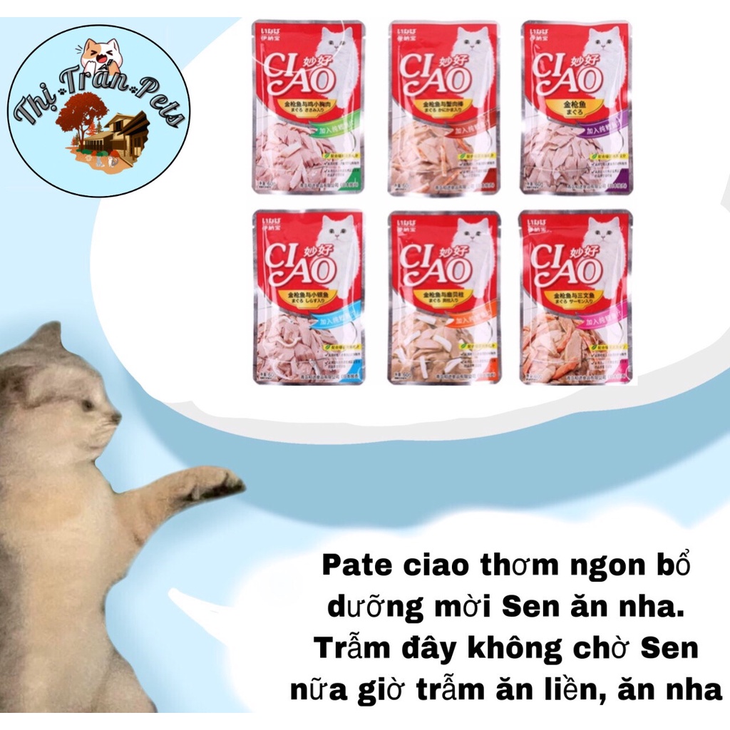 Pate mèo Ciao gói 60g 💕 FREESHIP💕 Gói nhuyễn Pate thưởng cho Mèo nhiều Vị Thơm Ngon