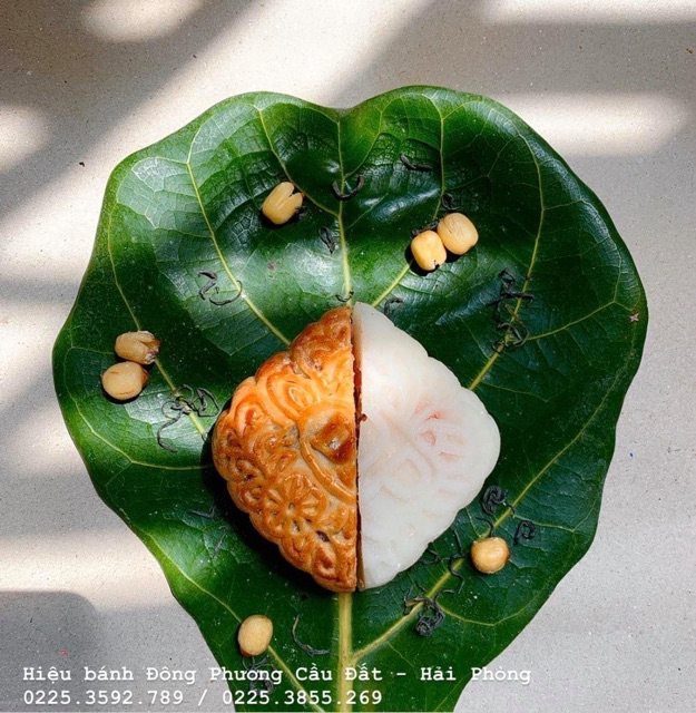 Bánh trung thu Đông Phương: thập cẩm truyền thống | BigBuy360 - bigbuy360.vn