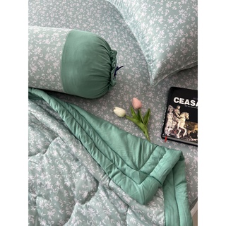 DRAP THUN HÀN QUỐC GIÁ HẤP DẪN