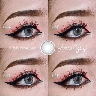 Lens vassen tây Bee gray có độ cận