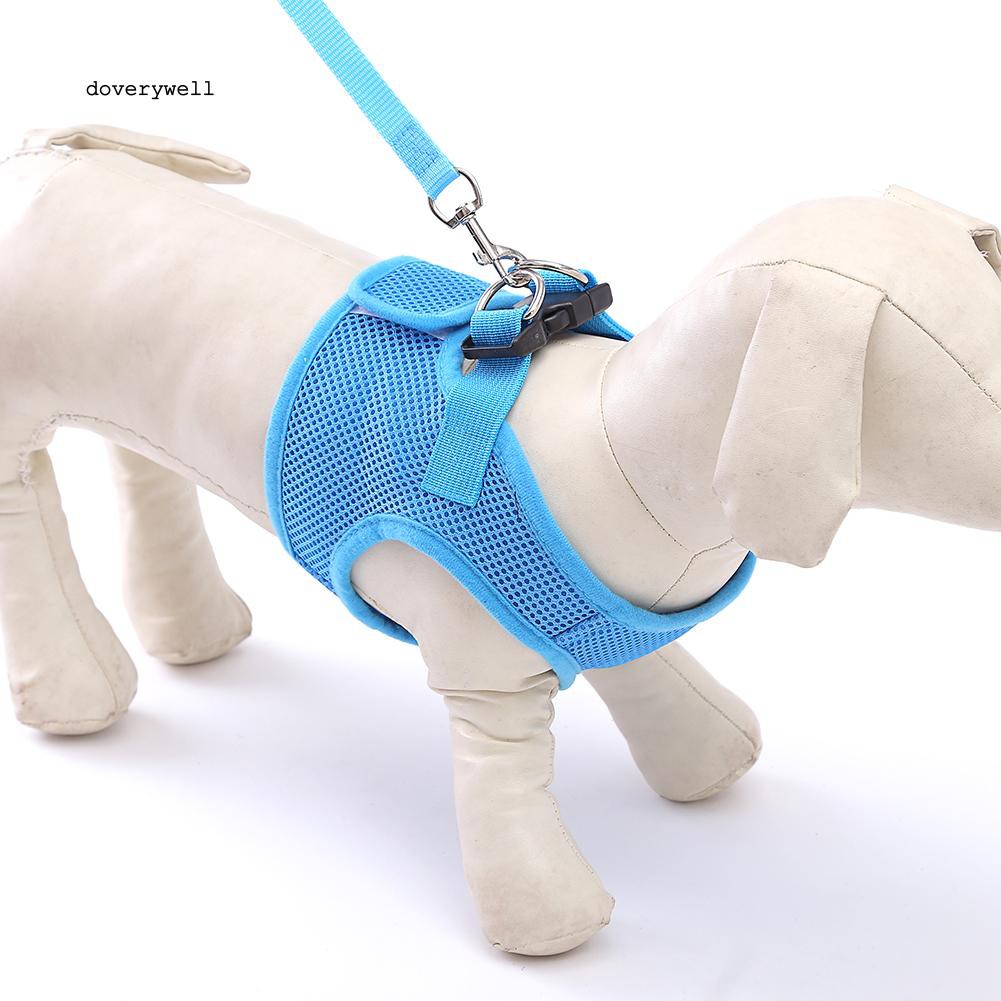 Vòng cổ dắt thú cưng nhiều màu sắc