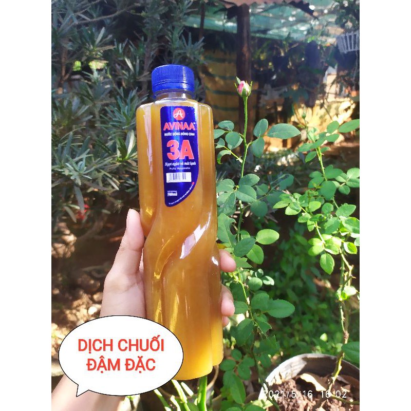 Dịch chuối đậm đặc cho dâu tây, hoa lan, hoa hồng