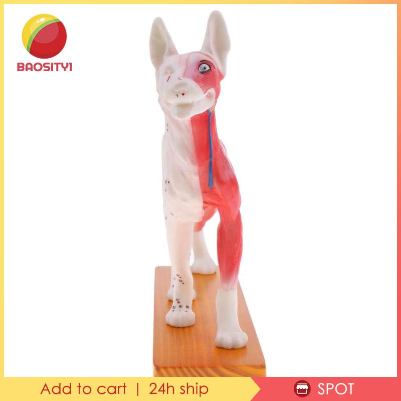 Bộ Dụng Cụ Học Tập Cho Cún Cưng [Baosity] [Baosity]