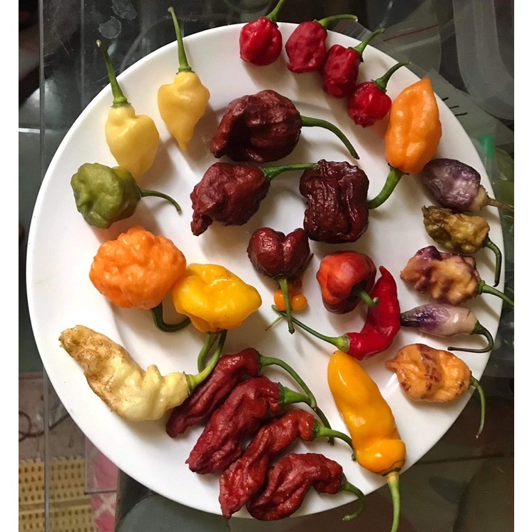 100 gram trái ớt tươi  mix đủ loại, đủ màu