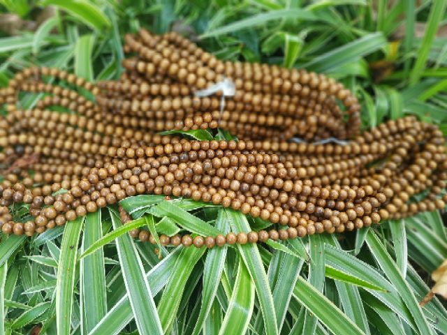 Vòng tràng gỗ thơm màu tự nhiên hạt 12 m m 108 hạt
