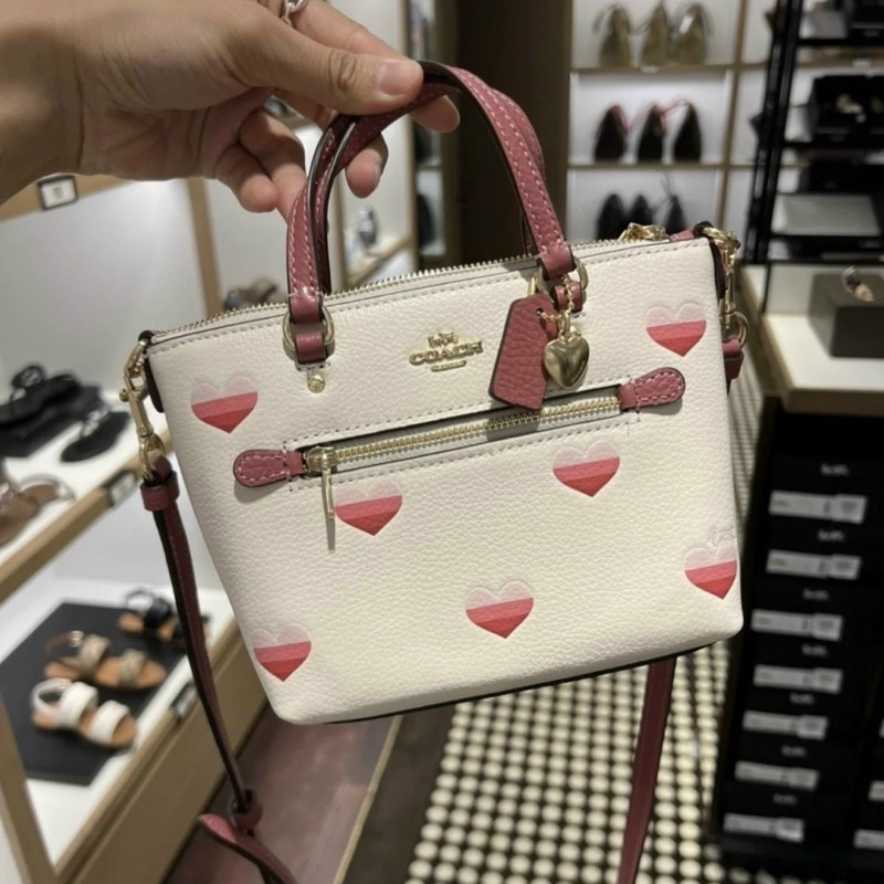 TÚI COACH MINI GALLERY
