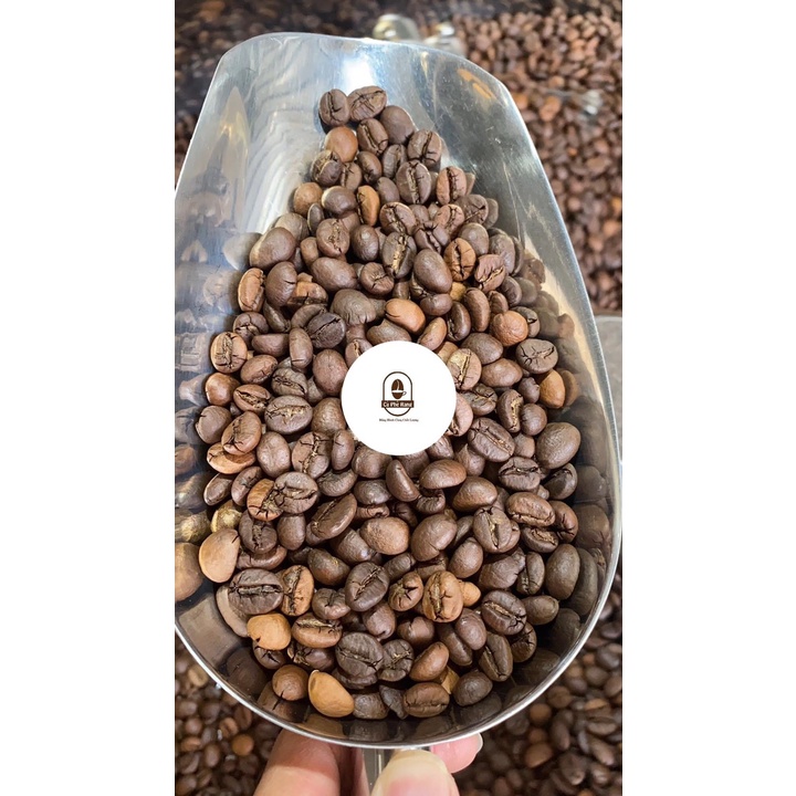 [Nhặt Tay] Cà phê robusta nhân sống chưa rang, caffee nguyên liệu sạch tây nguyên[1kg]