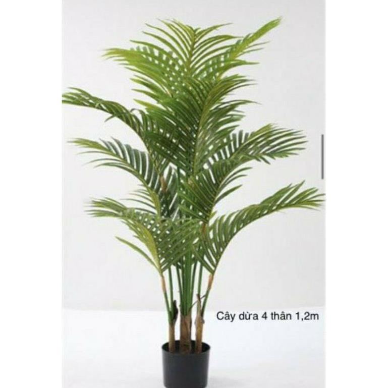 cây dừa cảnh giả cao 1,2 met