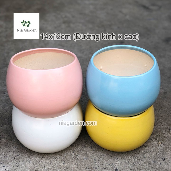 Chậu hạt dẻ lớn 14cm trồng cây cảnh