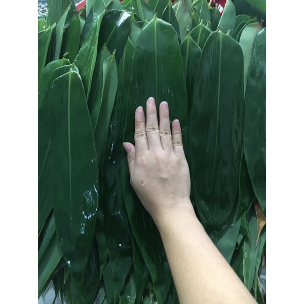 Lá tre tươi 100gram