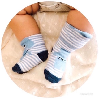 set 5 doi tất len hình voi cho bé