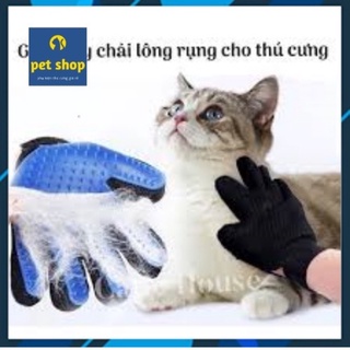 Cây Lăn Lông Tĩnh Điện