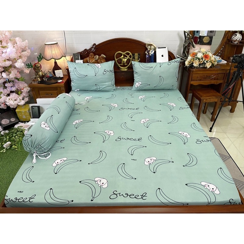 Ga gối thun Hàn Quốc ( 8 màu)