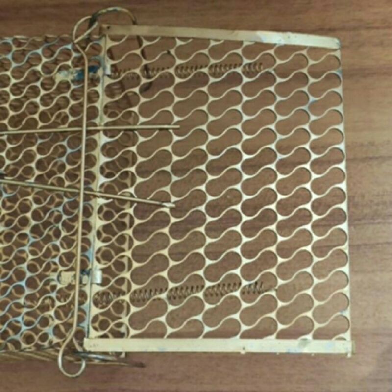 LỒNG BẪY CHUỘT