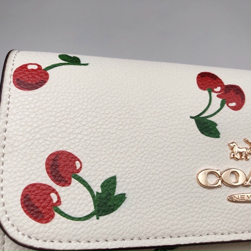 TÚI COACH BRYNN CA530