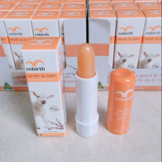 Son dưỡng nhau thai cừu Rebirth