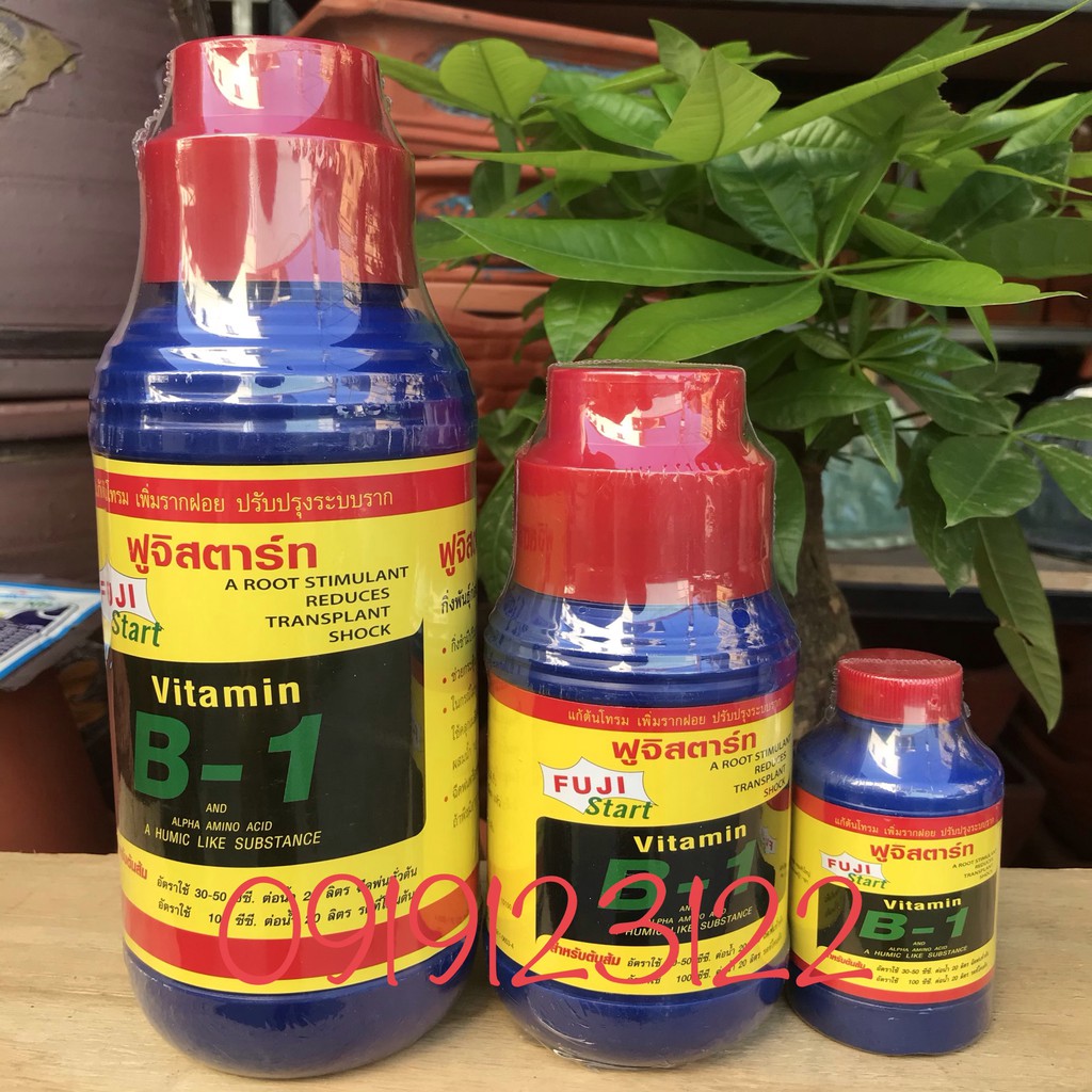Vitamine B1 thái Fuji Start chai 500ml