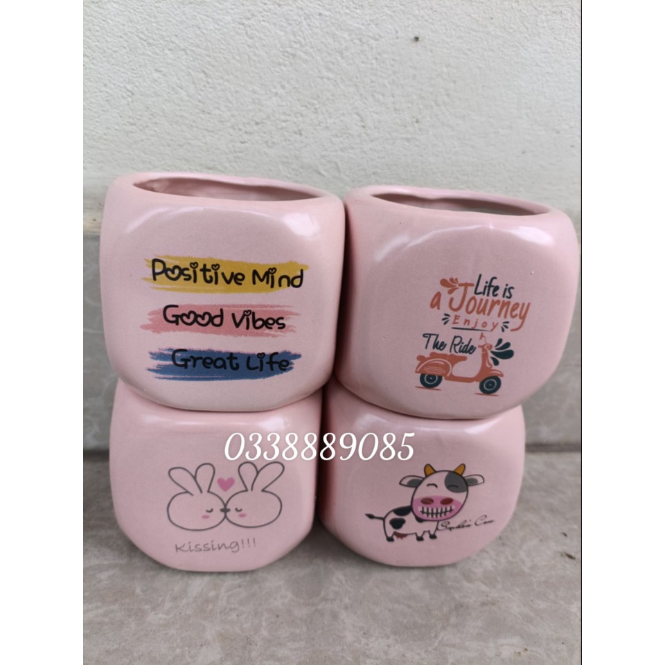 Chậu sứ bát tràng hộp vuông in hình cute trồng xương rồng, sen đá, derco siêu đẹp.