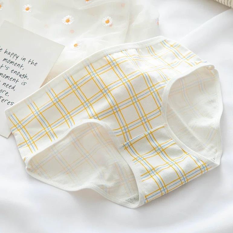 [Giá sỉ] Quần Lót Nữ Cotton Co Gĩan In Hoạ Tiết Thỏ Vàng Cute 898