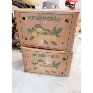 sỉ 5kg nước mơ ngâm đường