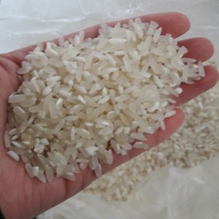 Gạo nếp đặc sản Điện Biên