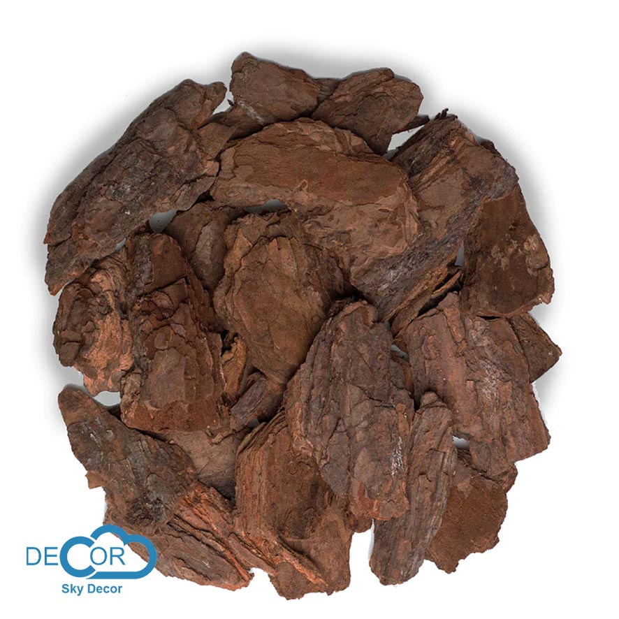 Vỏ thông khô Sky Decor phong cách vintage, cổ điển - Chụp ảnh phong cách mộc