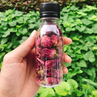 Hồng sấy cho hamster