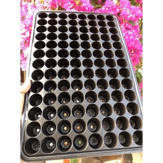 1 cái khay ươm hạt giống 104 lỗ