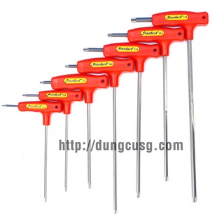 Lục giác t hoa thị từ t10 đến t40