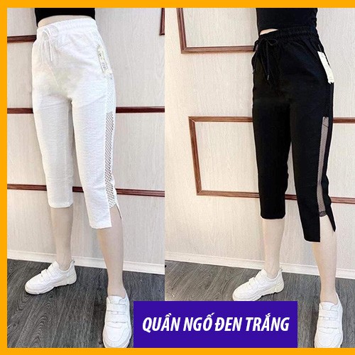 [ Mã FAMAYWA giảm 10K đơn 50K] Quần Đũi Lưới, Quần Đũi Pha Sọc Bo Chun Dài Ngố Siêu Hot Hàng Loại 1 size từ 38 đến 70kg | BigBuy360 - bigbuy360.vn
