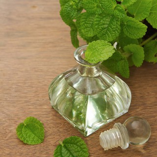 TINH DẦU BẠC HÀ (10ML)