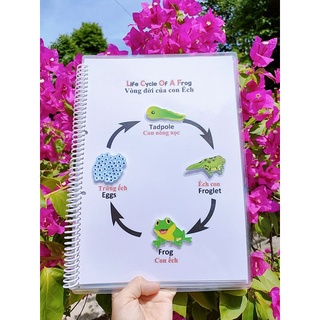 Học liệu bóc dán vòng đời