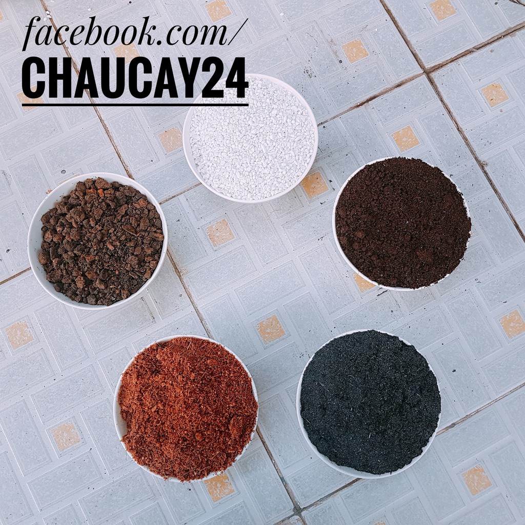 Đất trồng sen đá, xương rồng chuẩn loại 1