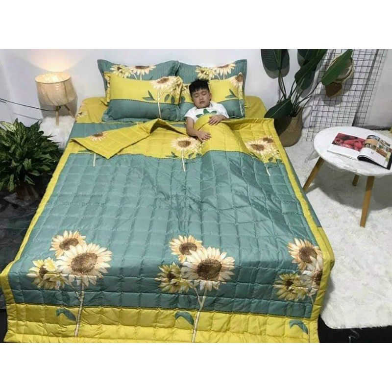 bộ chăn ga gối  hè 5 món cotton poly Hàn Quốc | BigBuy360 - bigbuy360.vn