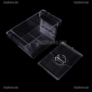 Lồng Ấp Trứng Cá Cách Ly Cho Bể Cá