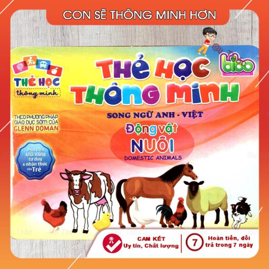 Thẻ học thông minh song ngữ Anh-Việt, Flashcard chủ đề động vật nuôi cho bé - SHOP CU BIN