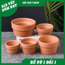 Chậu đất nung trồng sen đá xương rồng, trang trí nhà và bàn làm việc, văn phòng 14x7   - Gốm Nghệ Nhân