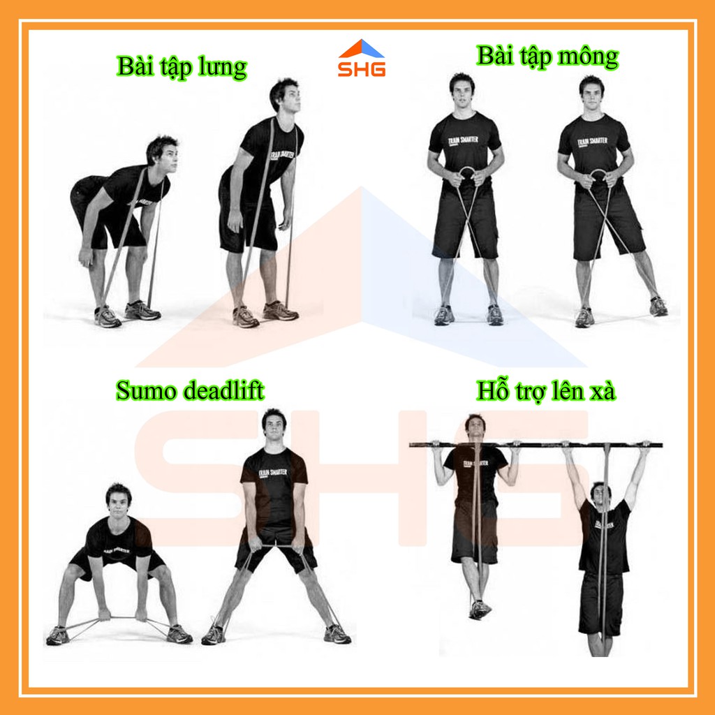 DÂY KHÁNG LỰC (RESISTANCE BAND) AOLIKES CAO CẤP, CHU VI DÂY 2080 MM, NHƯ PHÒNG GYM THU NHỎ