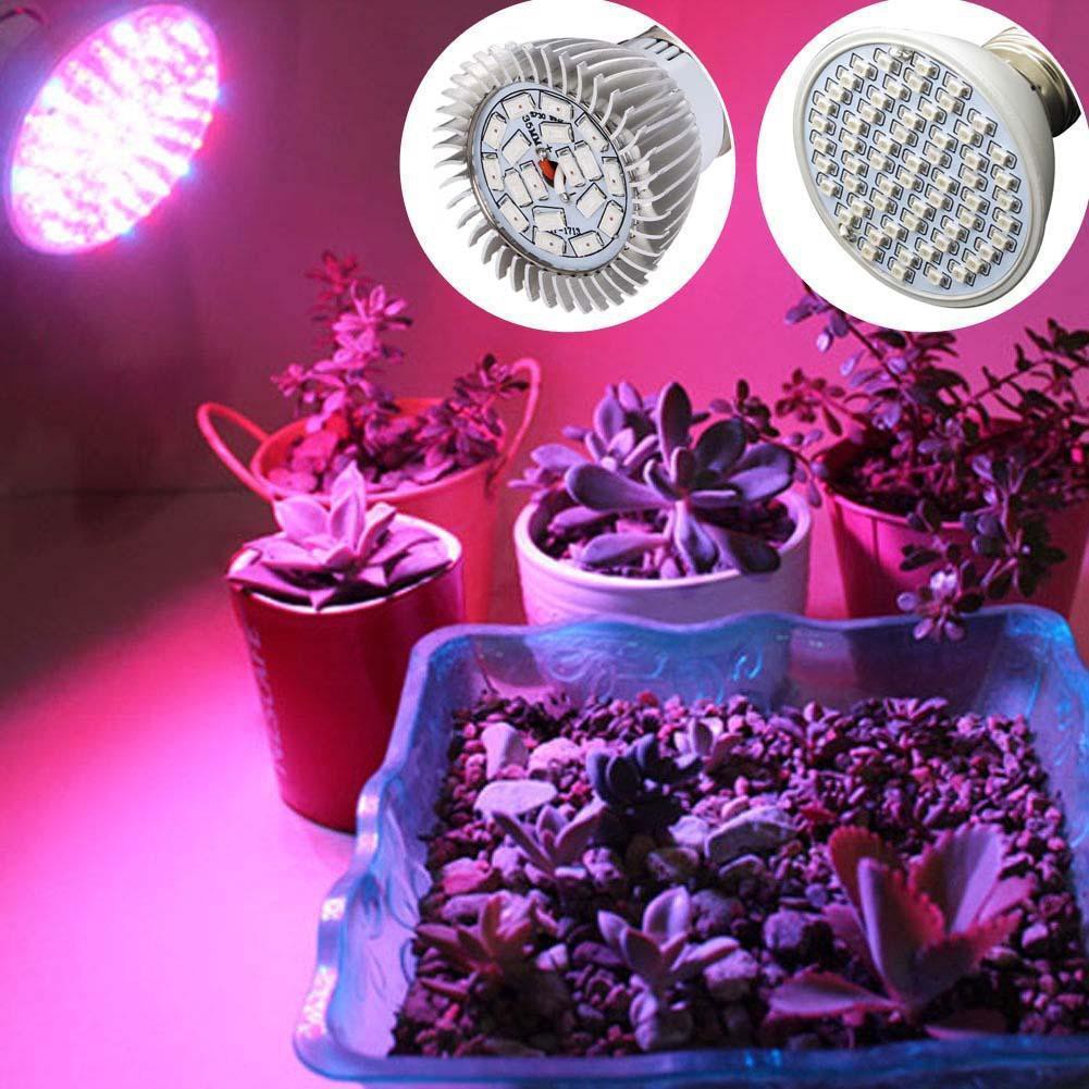 18 / 60 Đèn Led Huỳnh Quang Giúp Cây Phát Triển