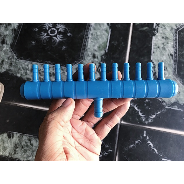 THANH CHIA 12 ĐẦU OXY HỒ CÁ NON BỘ