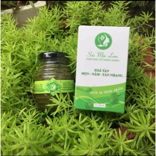 Cao lá nam sắc mộc lam chính hãng